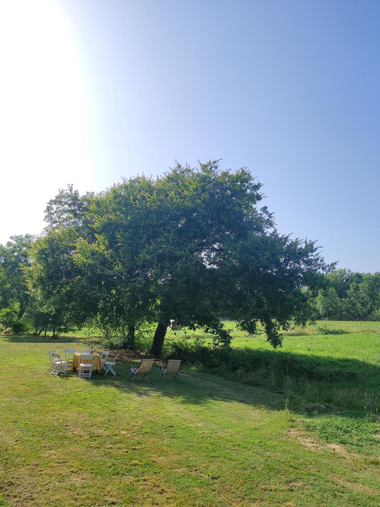 Appartamento Il Picchio Verde 알토파시오 외부 사진
